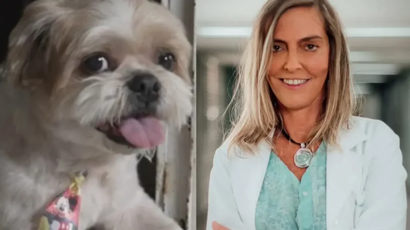 Cachorro com paralisia volta a andar depois de Polilaminina