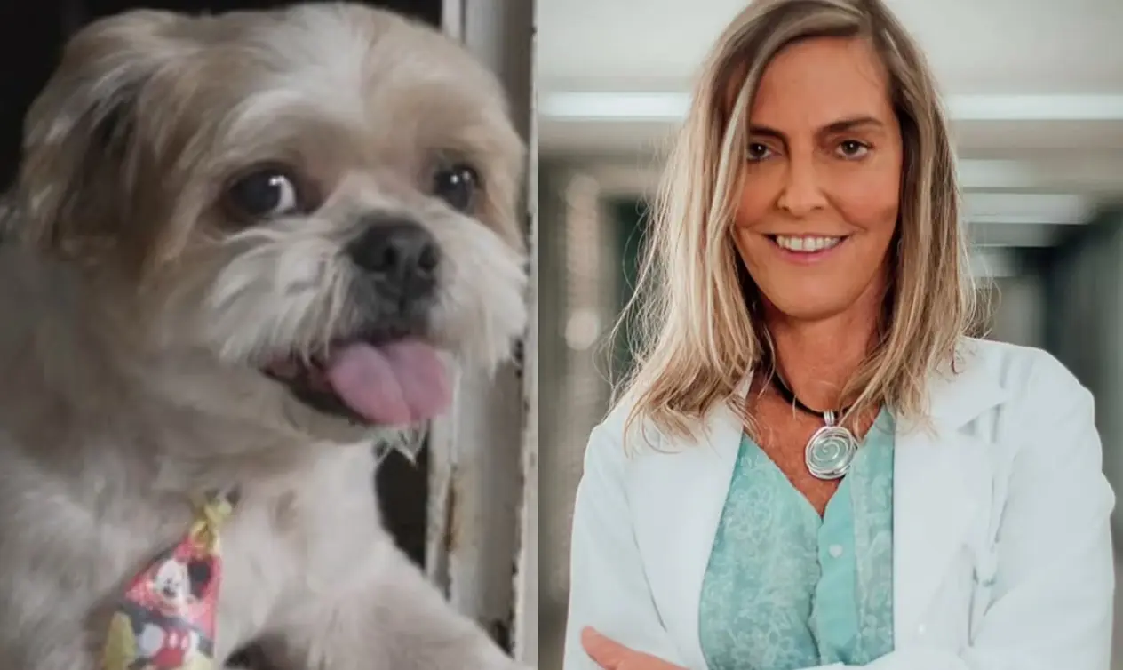 Cachorro com paralisia volta a andar depois de Polilaminina