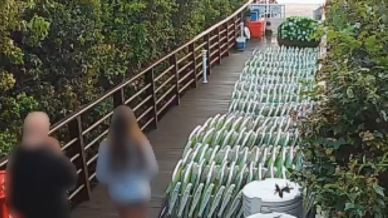 Orelha: Novo vídeo mostra adolescente voltando ao condomínio e expõe contradição