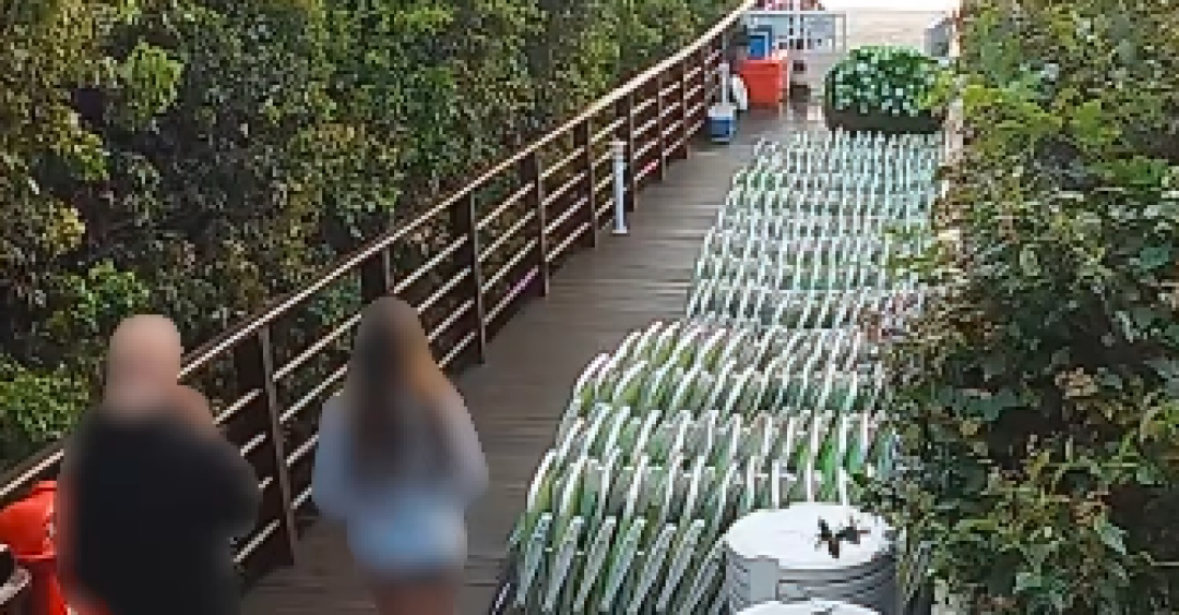 Orelha: Novo vídeo mostra adolescente voltando ao condomínio e expõe contradição