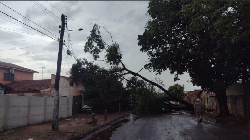 Equatorial mobiliza equipes para temporais em Goiás