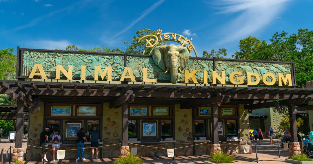 Disney aposenta área do Animal Kingdom após 28 anos
