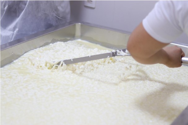 Inscrições para melhoria de agroindústrias acabam sábado (7)