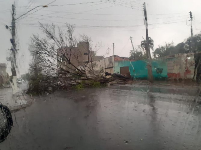 Instabilidade em Goiás prevê chuvas intensas e ventos fortes