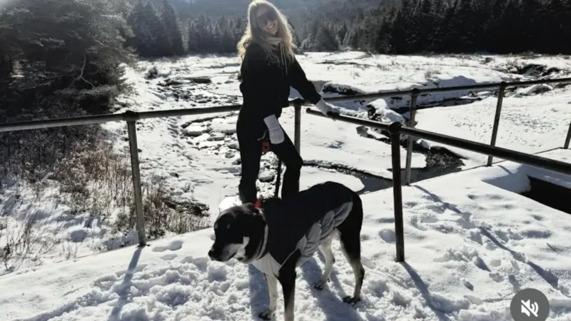 Jovem morre congelada e cão permanece ao lado do corpo