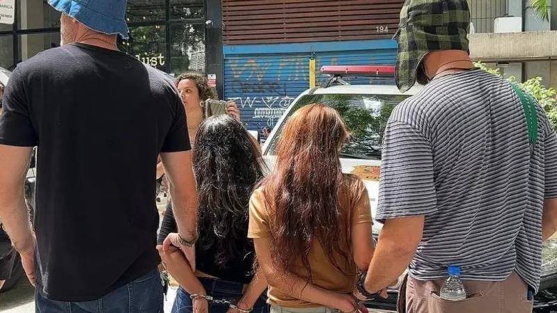 Policiais fantasiados de Chaves prendem suspeitos em blocos de São Paulo; vídeo