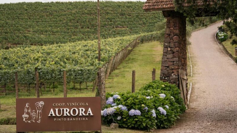 Enoturismo na Serra Gaúcha supera patamar pré-enchente