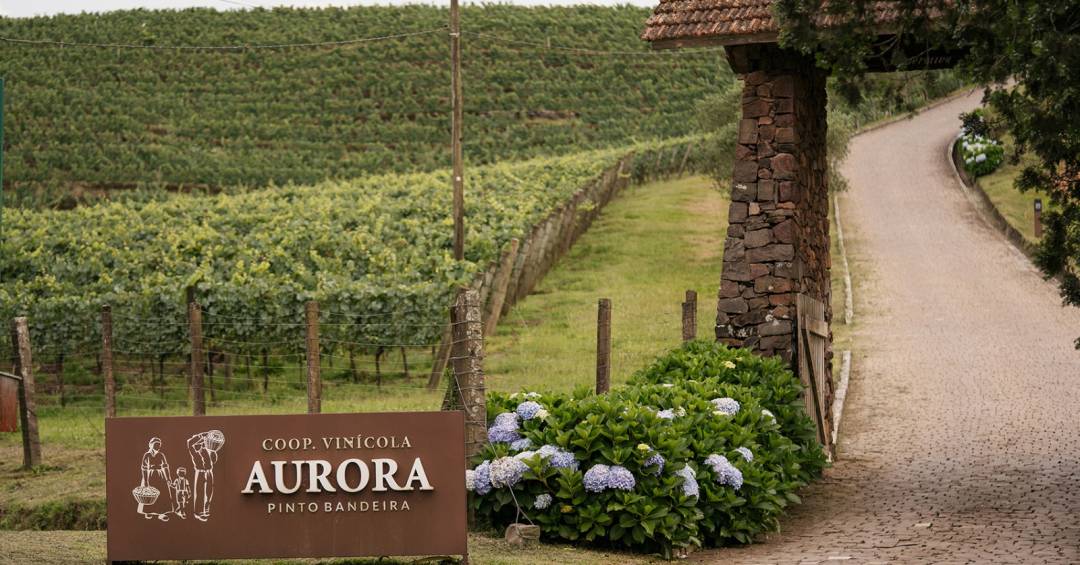 Enoturismo na Serra Gaúcha supera patamar pré-enchente