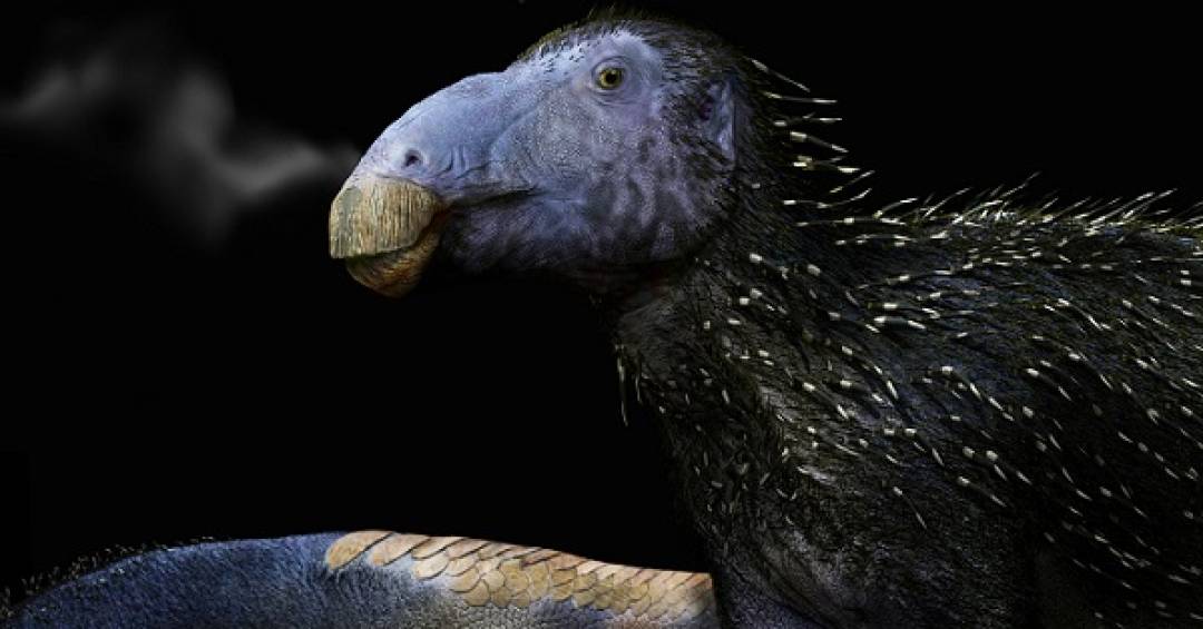 Nova espécie de dinossauro com espinhos ocos é descoberta na China