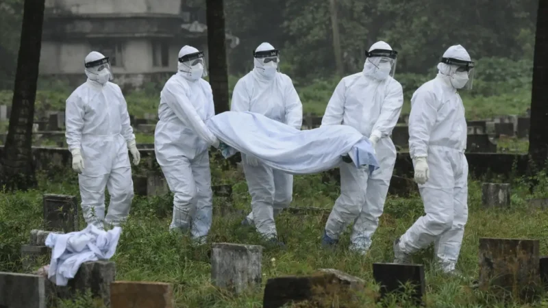 qual risco para o Brasil? Ministério da Saúde revela