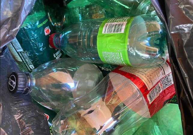 Ações da Equatorial preservam 25 mil árvores e ajudam famílias