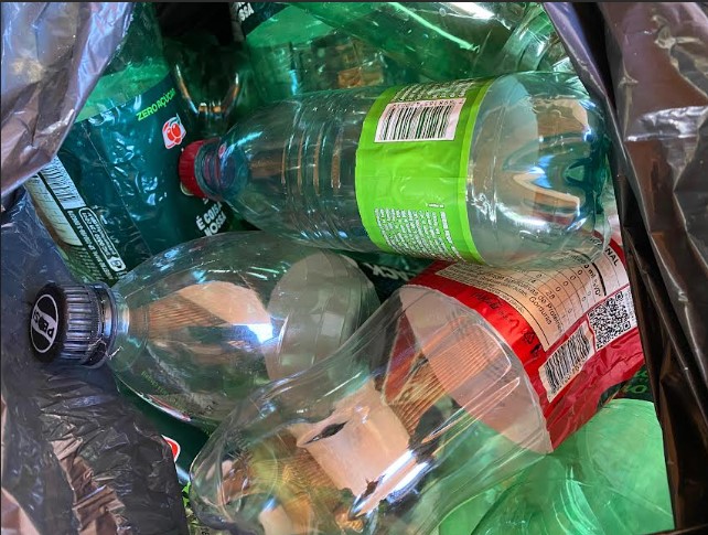 Ações da Equatorial preservam 25 mil árvores e ajudam famílias