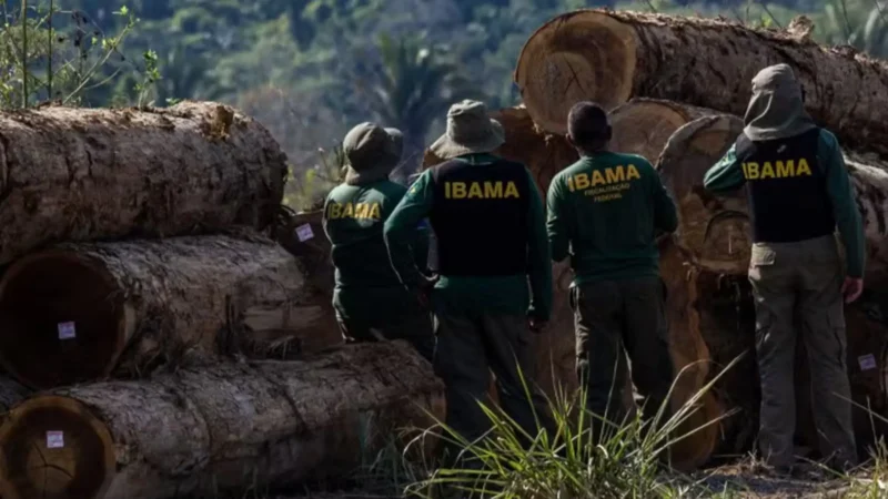 Agentes do Ibama são alvo de emboscada e tiros durante fiscalização no Amazonas