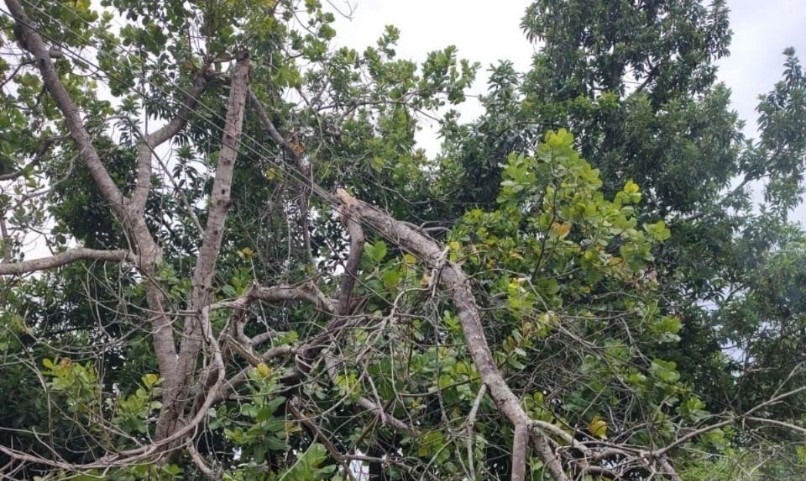 Alerta de tempestades atinge 144 cidades de Goiás