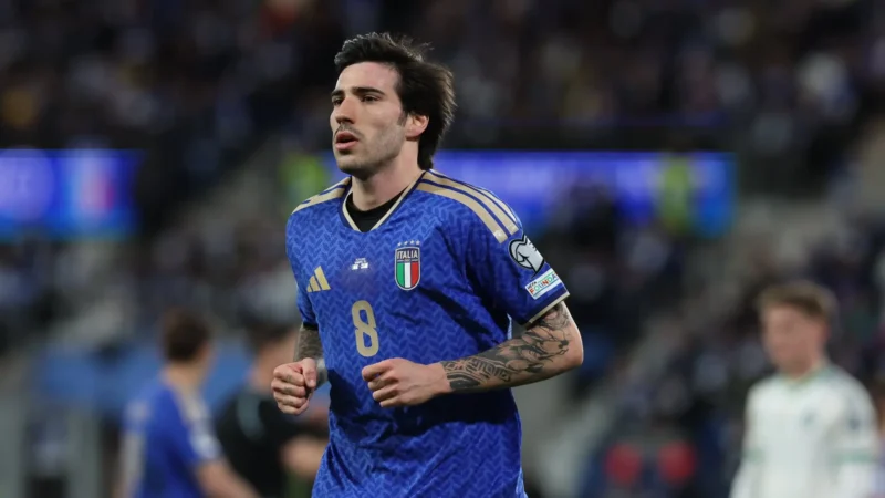 Copa do Mundo: 12 países lutam pelas últimas seis vagas no Mundial; saiba quais são