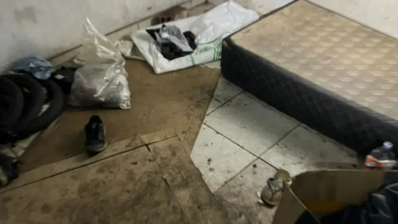 Criança é encontrada em casa com lixo e animal morto em Goiás