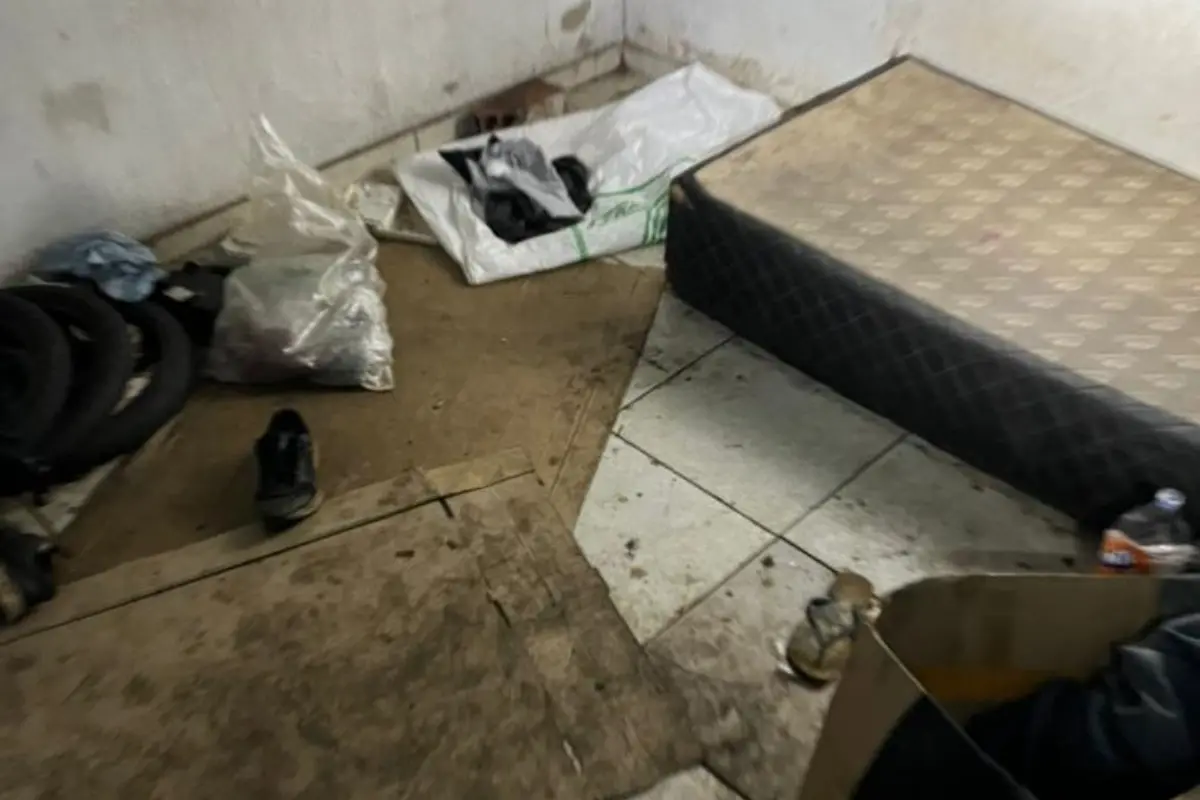 Criança é encontrada em casa com lixo e animal morto em Goiás