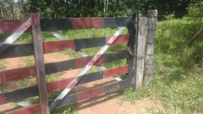 Equatorial registra 230 impedimentos diários em Goiás.