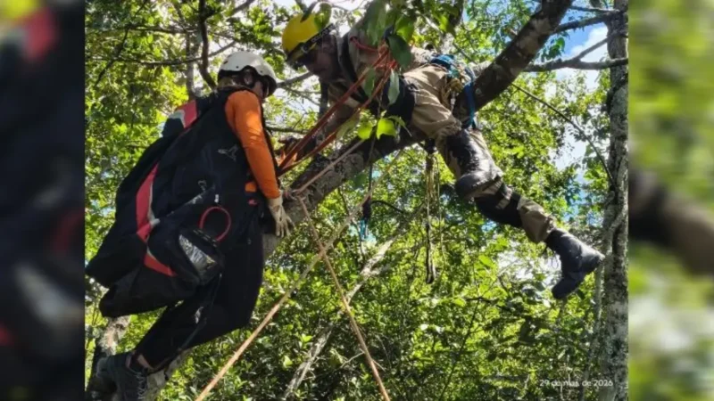 GO: Mulher fica presa em árvore durante salto de parapente