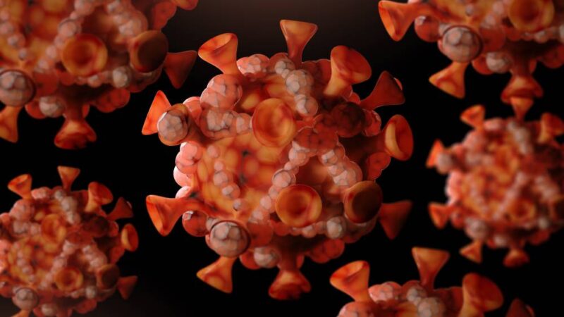 Sobe número de casos confirmados de mpox no Brasil em 2026