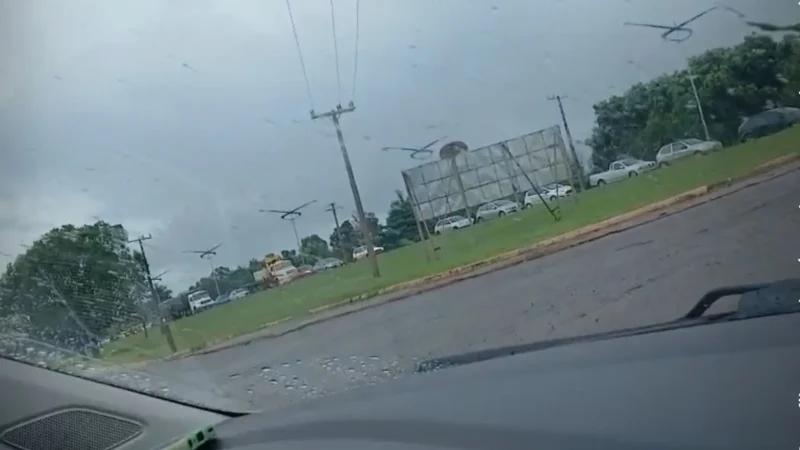 Motoristas formam filas em posto de combustíveis em Maurilândia após relatos de possível falta de gasolina