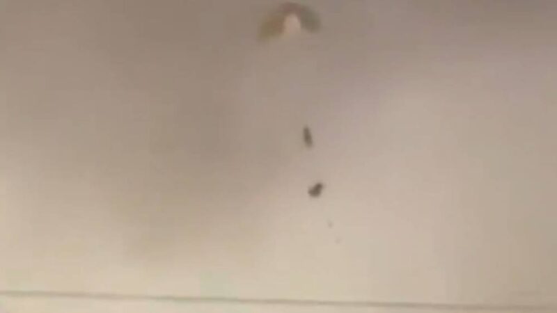 Ataque ao Irã: vídeo mostra momento em que piloto dos EUA se ejeta e é resgatado