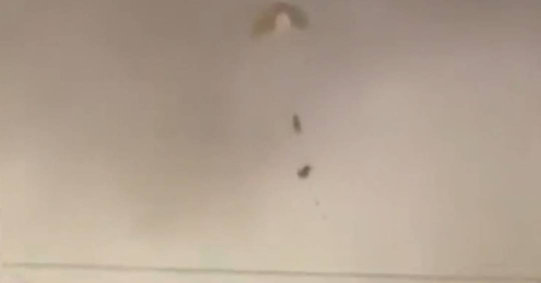 Ataque ao Irã: vídeo mostra momento em que piloto dos EUA se ejeta e é resgatado