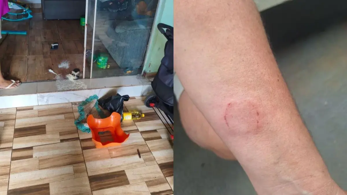 Sogra e nora vão parar na delegacia após confusão por causa de criança em Anápolis