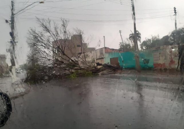 Tempestades deixam cidades de Goiás em alerta
