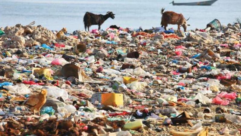 Brasil é escolhido como sede para plano global contra lixo plástico