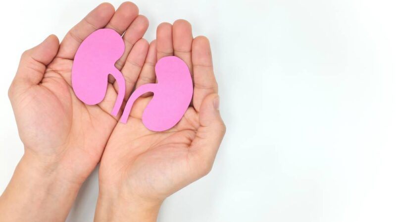 Os novos números que mostram como a população brasileira está altamente exposta a problemas nos rins