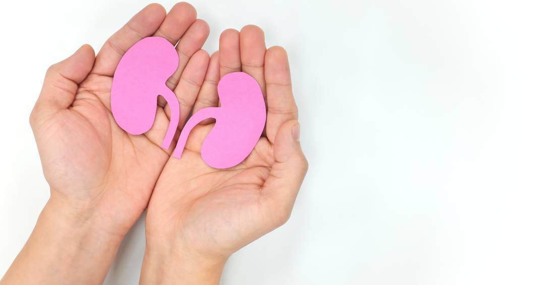 Os novos números que mostram como a população brasileira está altamente exposta a problemas nos rins