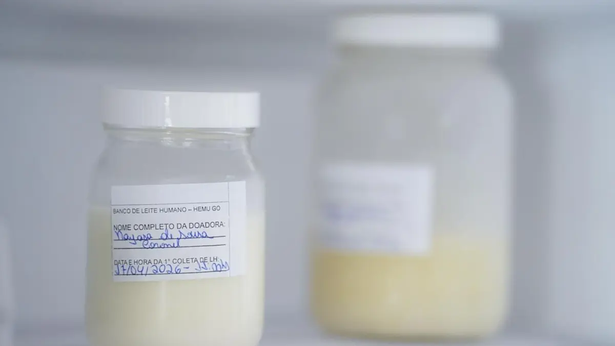 ‘Angustiante não conseguir atender 100% da demanda’, diz coordenadora do Banco de Leite do Hemu