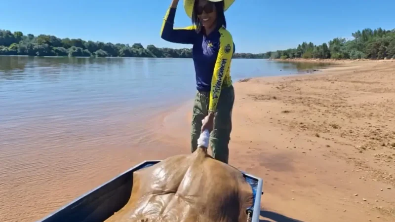 Arraia de 50 kg fisgada por pescadora no Rio Araguaia; veja vídeo