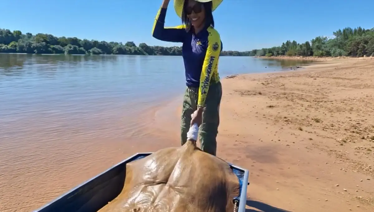 Arraia de 50 kg fisgada por pescadora no Rio Araguaia; veja vídeo