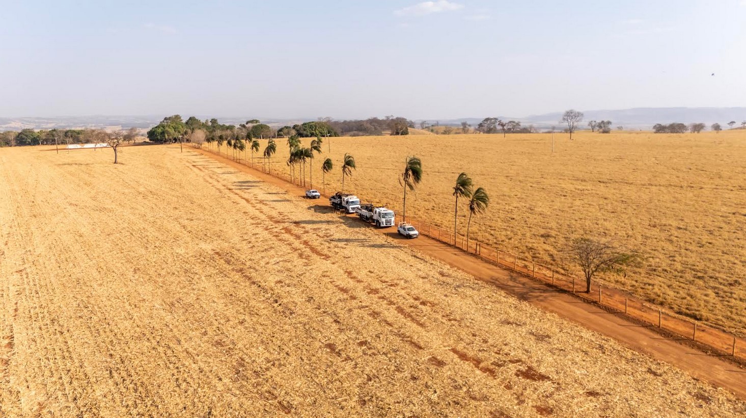 Atenção à rede elétrica rural: 3 cuidados essenciais