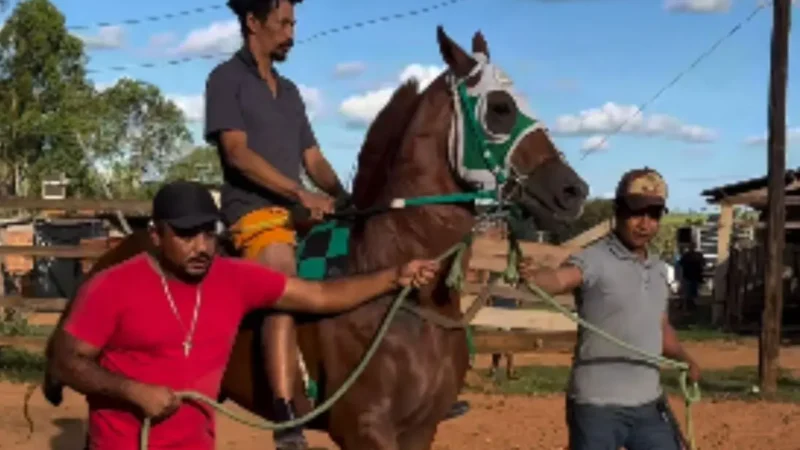 Bolsonaro perde corrida de cavalos em Anápolis; entenda