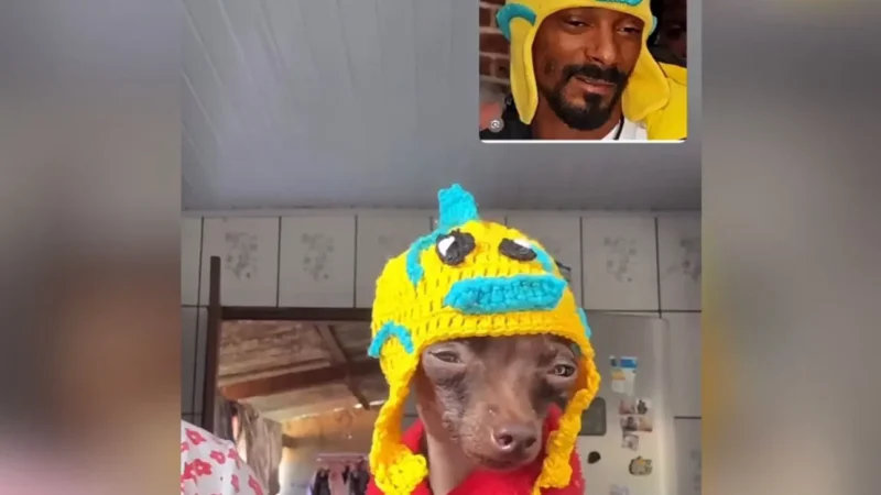 Goiana viraliza após Snoop Dogg repostar look de pinscher inspirado no rapper