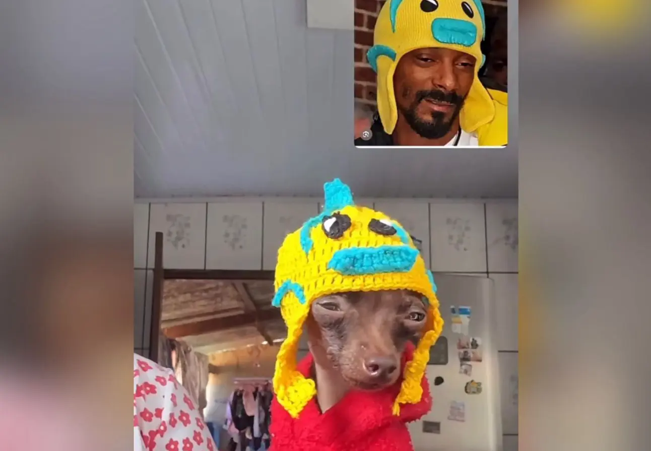 Goiana viraliza após Snoop Dogg repostar look de pinscher inspirado no rapper