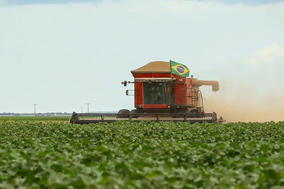 Goiás concentra 15% das recuperações judiciais do agro e acende alerta no setor