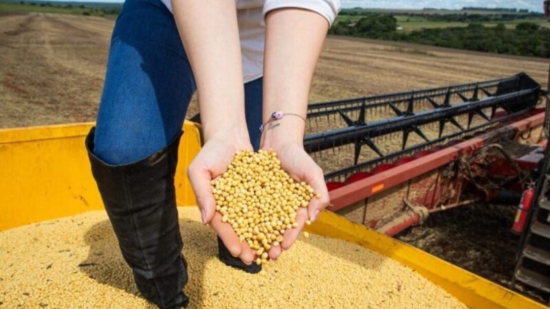 Goiás em Dados 2025 é divulgado pelo Instituto Mauro Borges