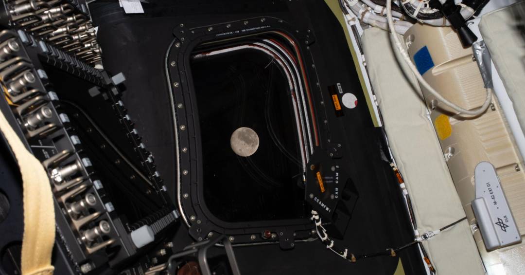 AO VIVO: Acompanhe o sobrevoo da Lua da missão Artemis II