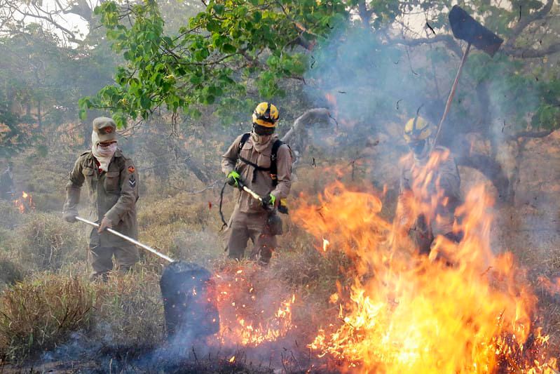Governo lança chamada para projetos de prevenção no Cerrado