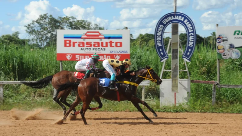 Hipódromo da Lagoinha prevê novas corridas após retomada com apostas em Goiânia