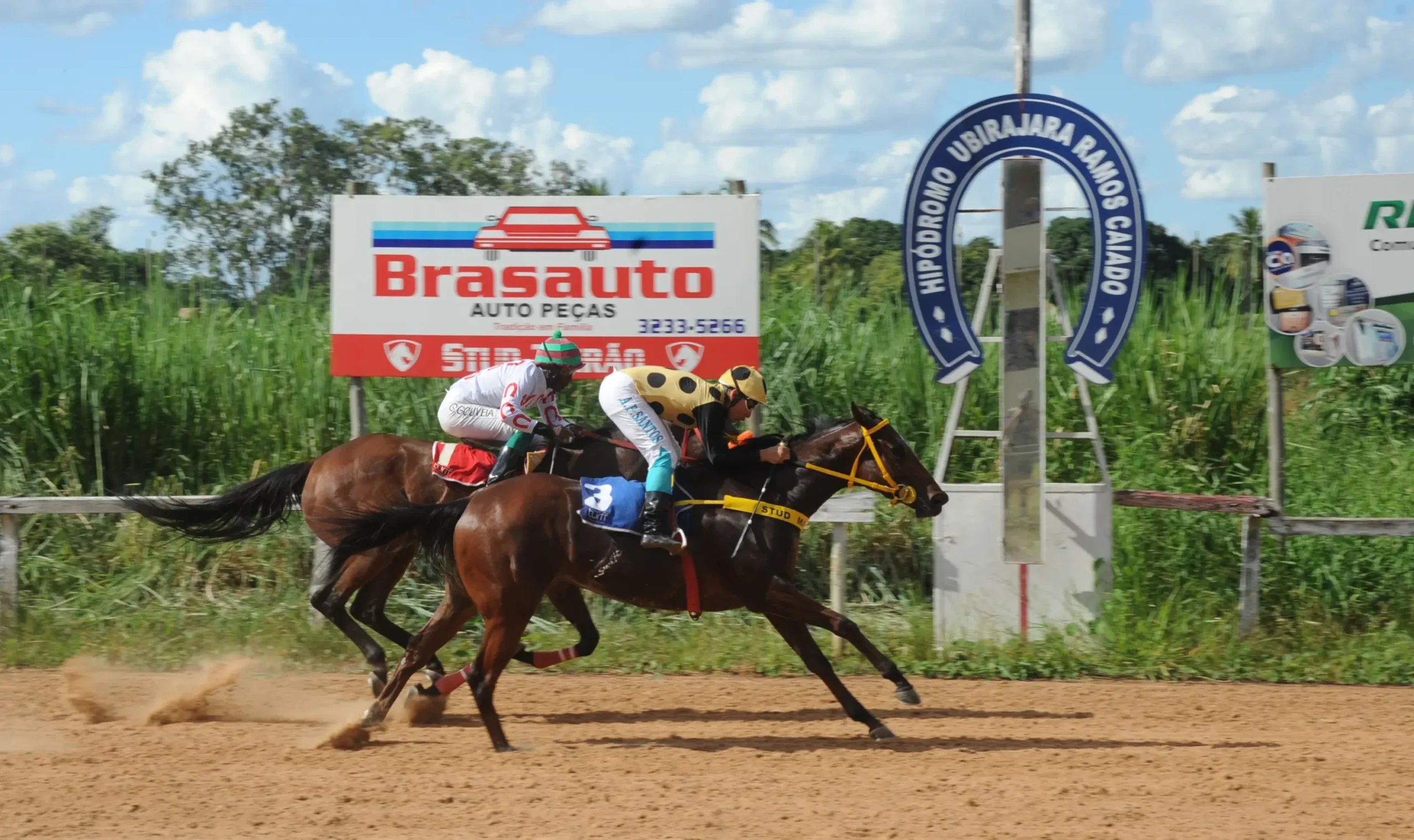Hipódromo da Lagoinha prevê novas corridas após retomada com apostas em Goiânia