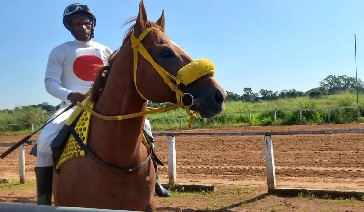 Jóqueis lutam para manter esporte ameaçado por ausência absoluta de sucessores