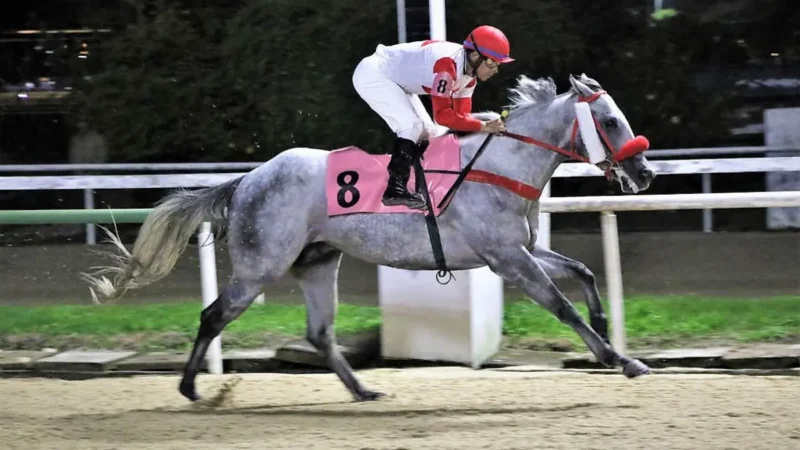 Nobreza e velocidade na Lagoinha
