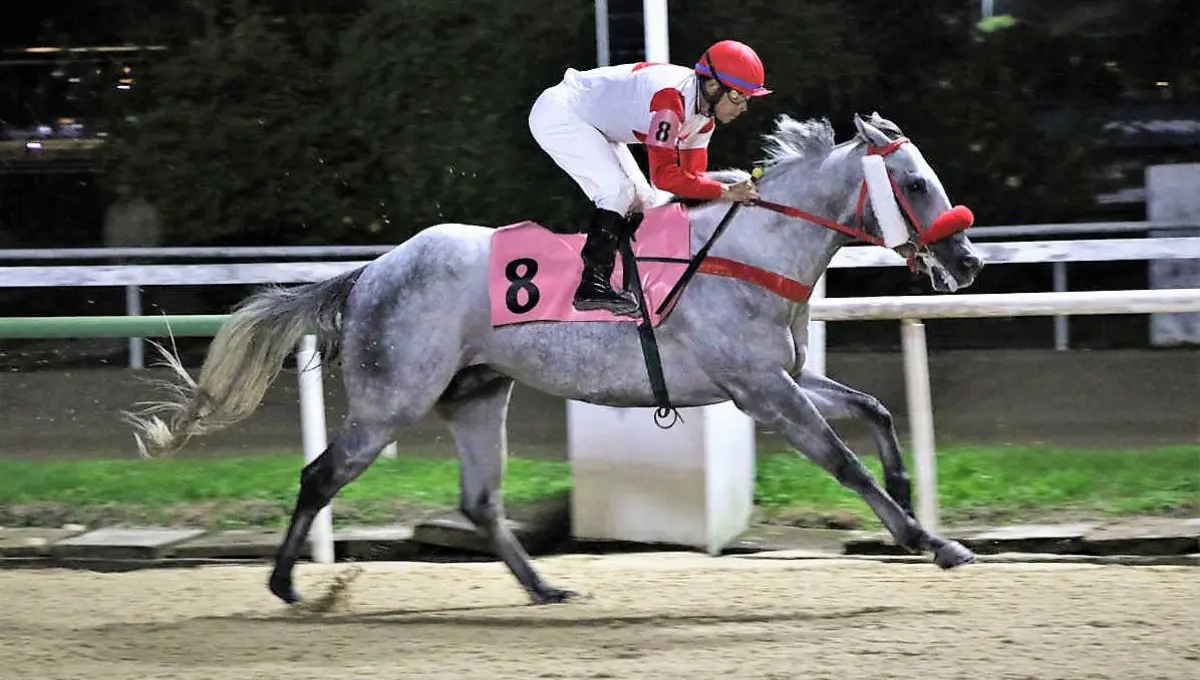Nobreza e velocidade na Lagoinha