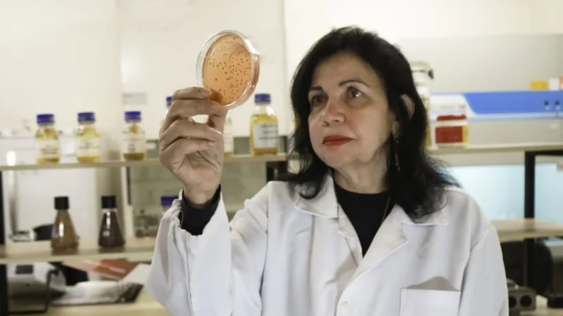 Pesquisadora da Embrapa está na lista das 100 pessoas mais influentes da Time