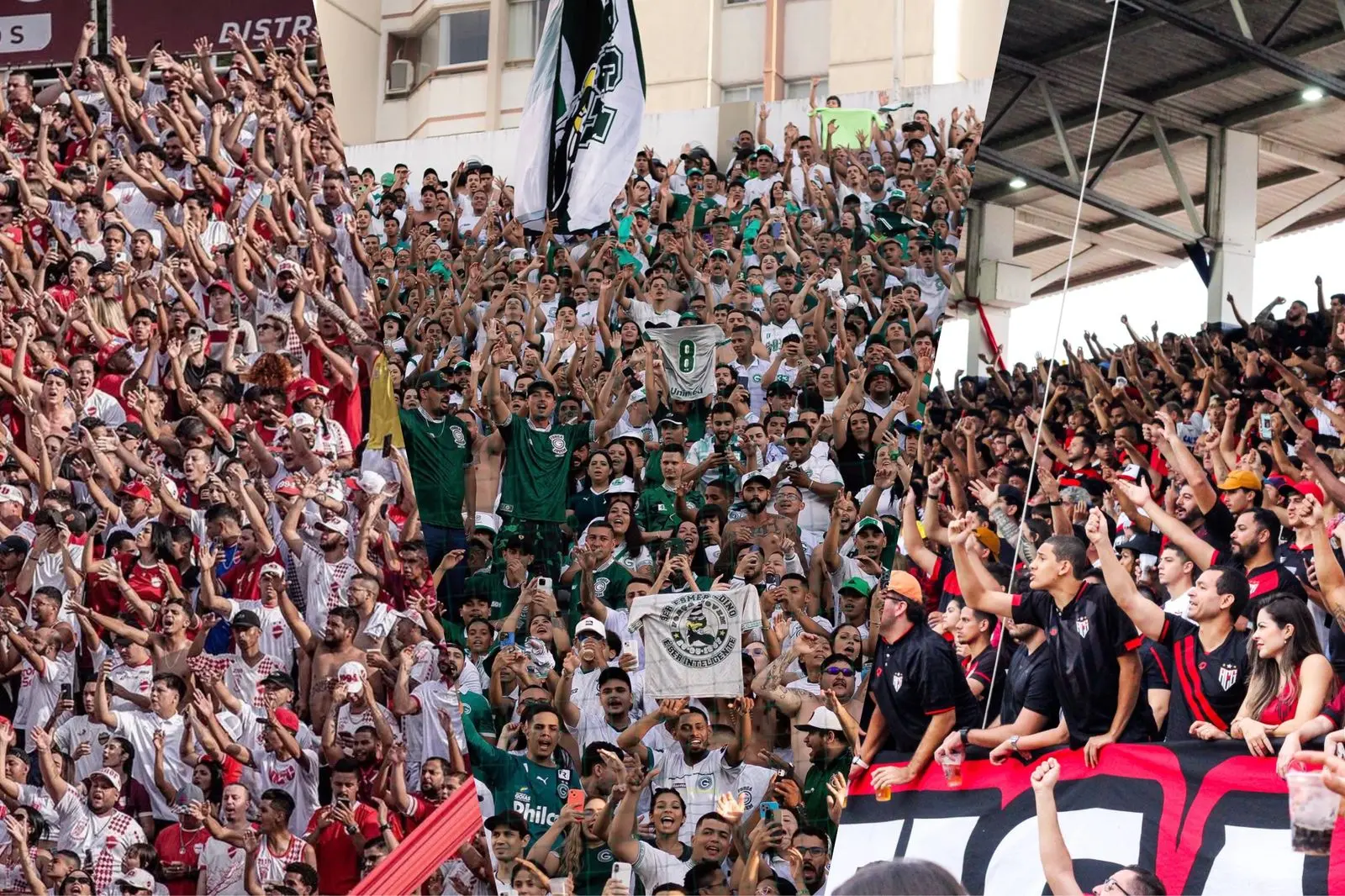 Quem manda na arquibancada? Goiás lidera em sócios, Vila aparece na sequência e Atlético aparece em último; confira os números